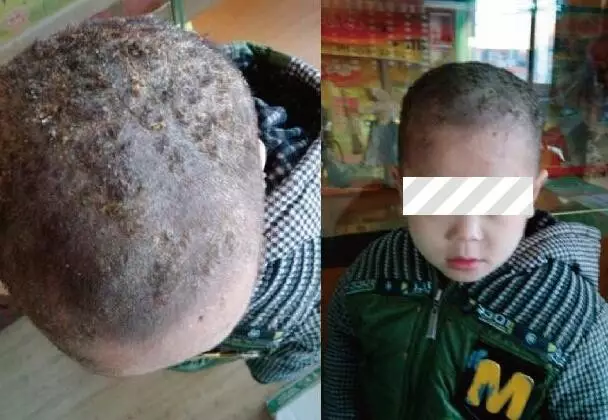 E0CA.tmp.jpg E0CA.tmp.jpg