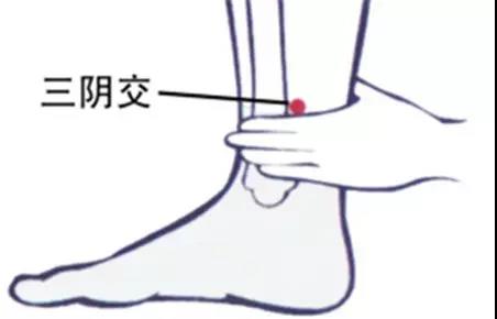 微信图片_20170905153531.jpg
