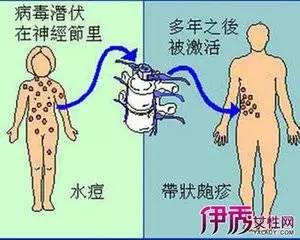 微信图片_20180202092634.jpg