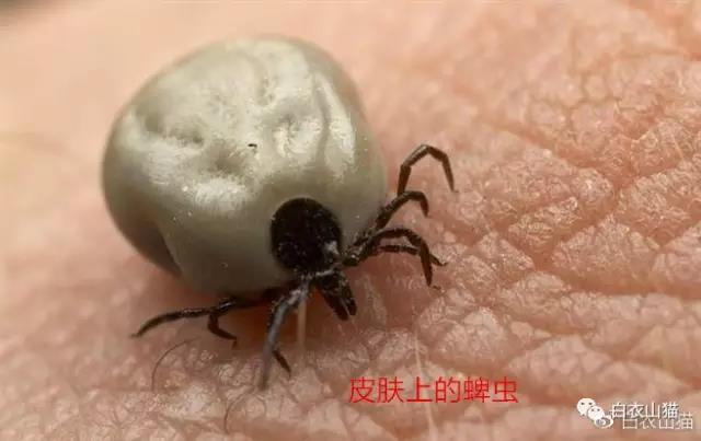 微信图片_20180327135755.jpg