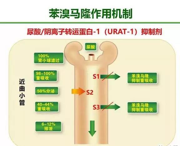 微信图片_20180503145158.jpg