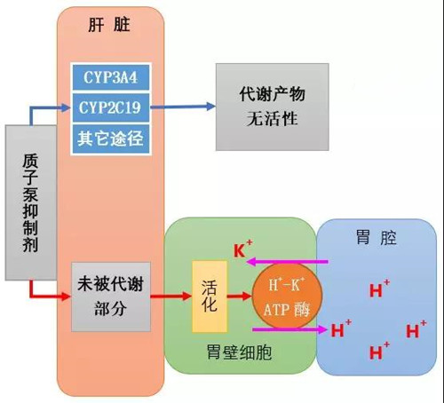 微信图片_20180504144215.jpg