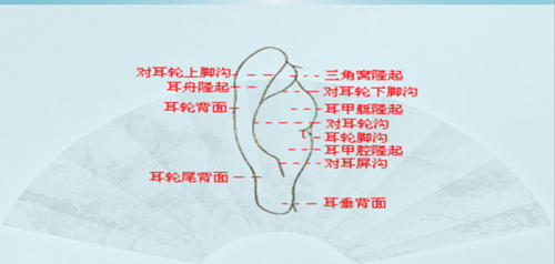 QQ截图20180716162449_副本_副本.png