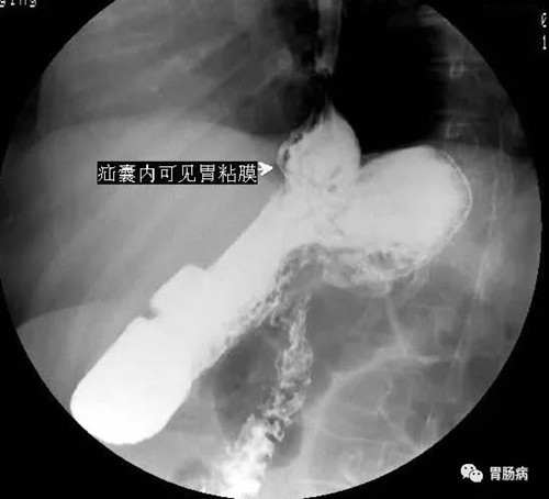 微信图片_20180724100750_副本.jpg