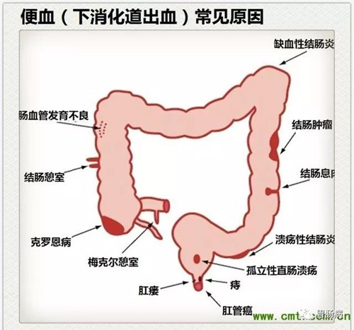 微信图片_20180724102104_副本.jpg