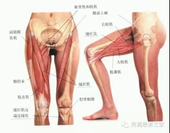 微信图片_20180813105252.jpg