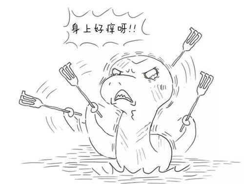 微信图片_20181106142201.jpg