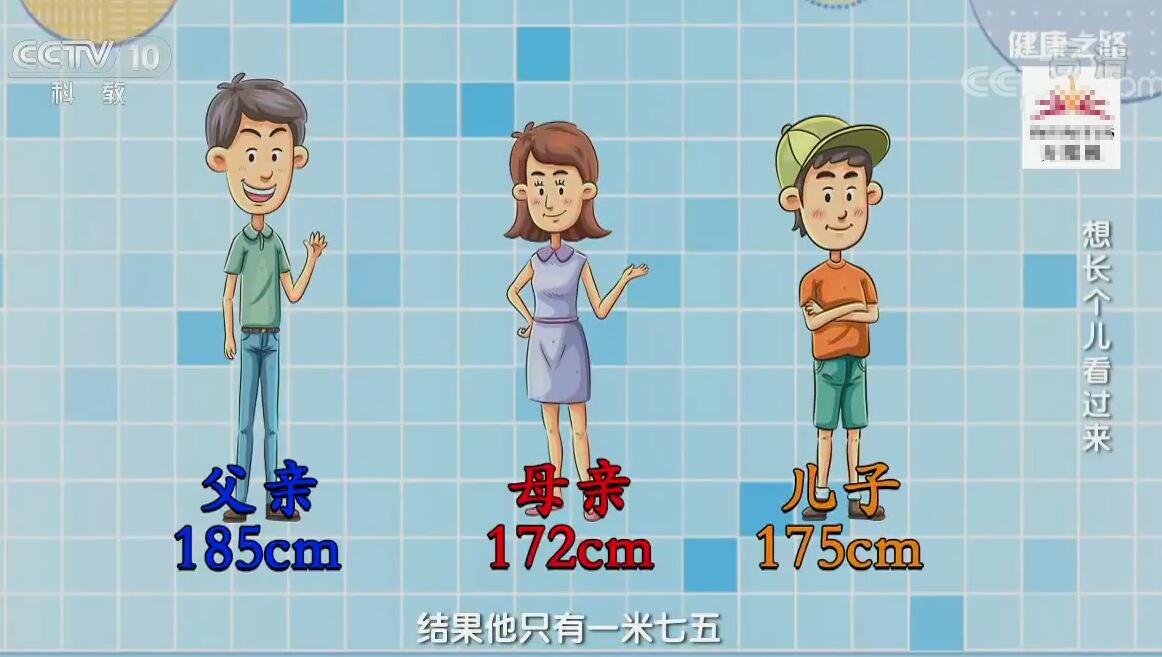 高个