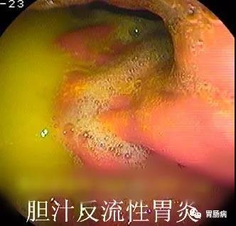 微信图片_20181212112006.jpg