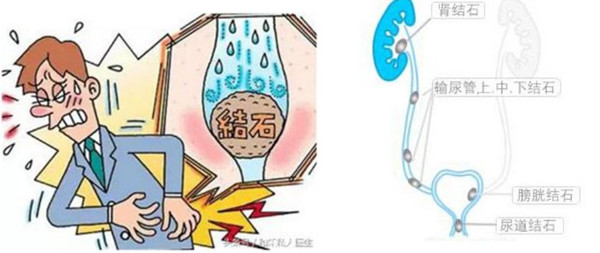 微信图片_20200305160549.jpg