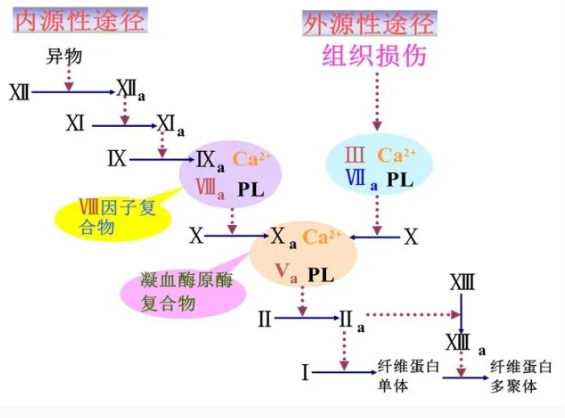 QQ截图20200330134600.png