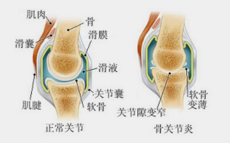 微信截图_20230925094630.png