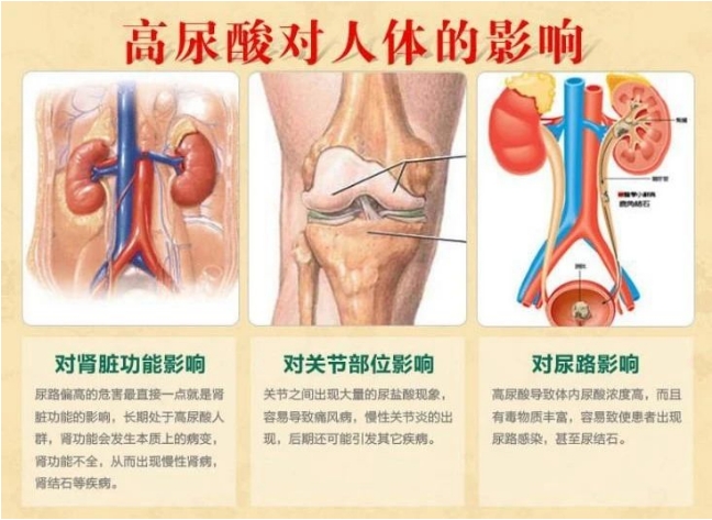 微信截圖_20231211093013.png