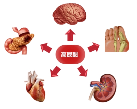 微信截圖_20231211093059.png